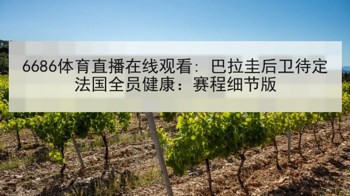 6686体育直播在线观看: 巴拉圭后卫待定法国全员健康:赛程细节版 6686体育直播在线观看: 巴拉圭后卫待定法国全员健康:赛程细节版